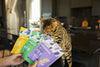 Cat enjoying Momentum single ingredient freeze-dried pork tenderloin treats novel protein
