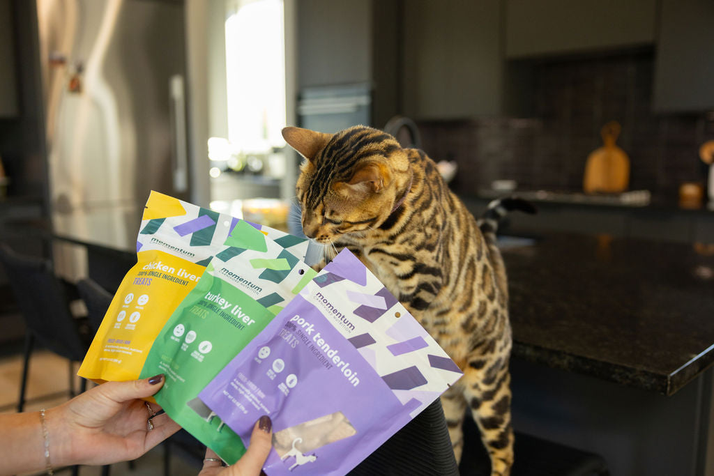 Freeze-Dried Turkey Liver Treats for Dogs & Cats | Momentum
