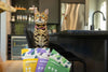 Cat enjoying Momentum single ingredient freeze-dried chicken liver treats rich in vitamins