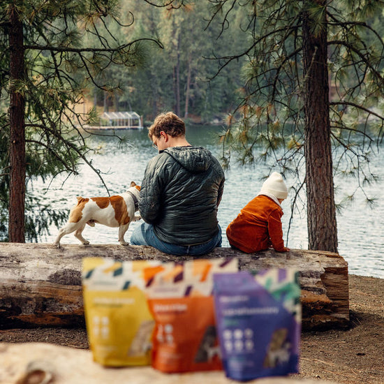 Pet owner rewarding dog and cat with Momentum freeze-dried chicken breast single ingredient treats by lake with child