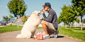 A dog eating momentum carnivore nutrition beef heart dog treats. Make your dog training easier with the treats they love. 