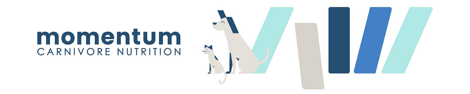 Dog and Cat Graphics