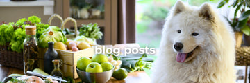 Momentum Carnivore Nutrition blog posts. These blog posts will teach you everything you need to know about freeze-dried cat and dog treats, toppers and chews. They will give you an overview of why you should feed your pet these single-ingredient, organic, non-gmo treats. 