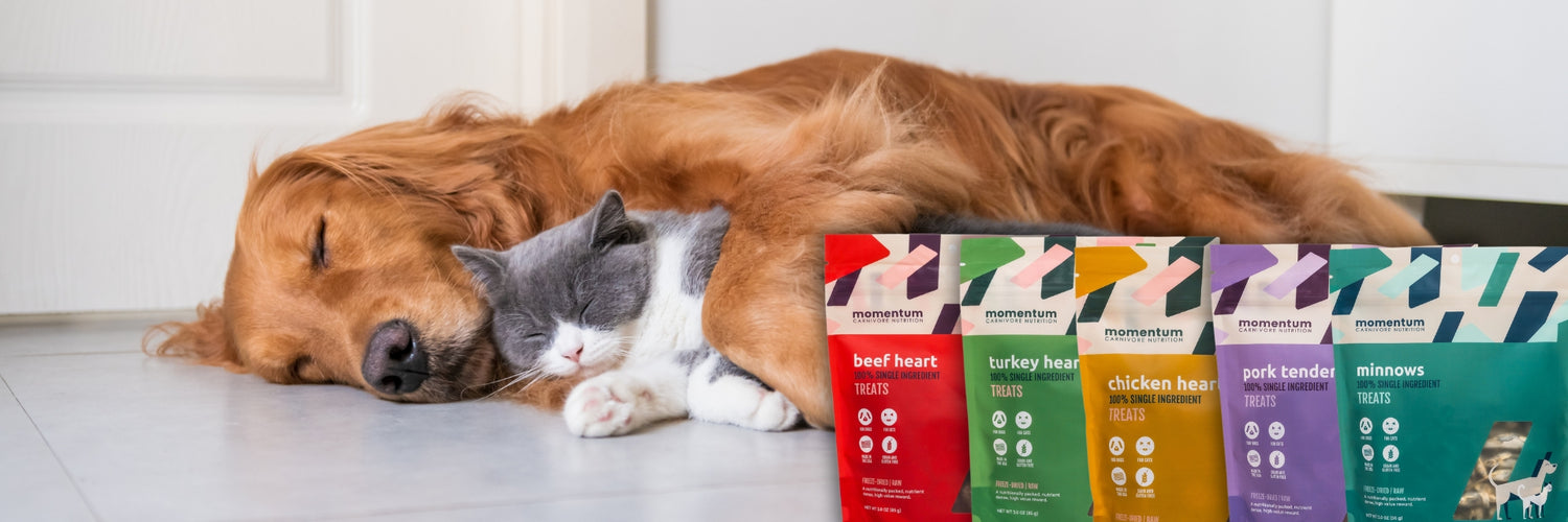 Momentum Carnivore nutrition best selling dog and cat treats, toppers, and chews. These are momentums best selling items for both cats and dogs. These treats are single ingredient freeze dried treats that lock in flavor and nutrition your pets deserve and need.