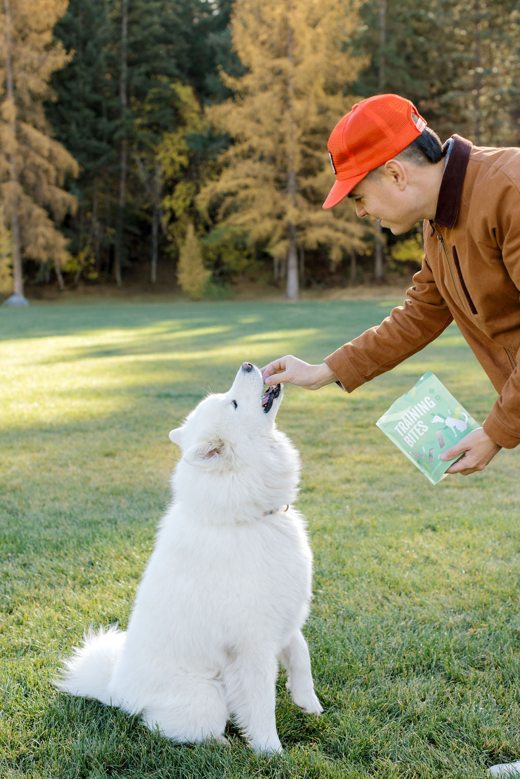 Person in a red cap and brown jacket interacting with a white dog on grass with trees in the background