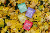 Momentum freeze-dried chicken training bites for dogs and cats bag with chicken gizzard and heart treats in leaves