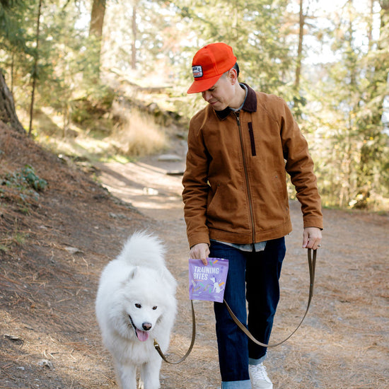 Momentum freeze-dried pork training bites single ingredient high protein treats with dog and man walking on forest path.
