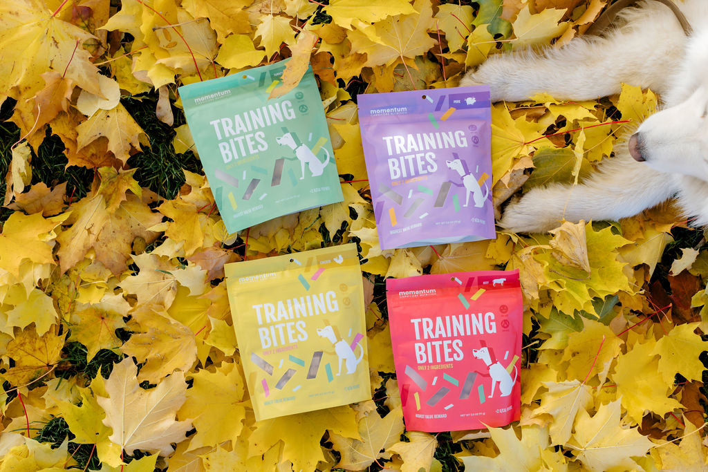 Freeze-Dried Chicken Training Bites for Dogs & Cats | Momentum