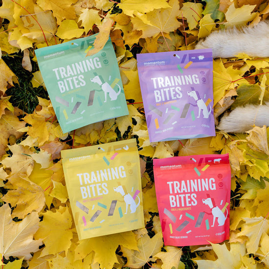 Momentum freeze-dried chicken training bites for dogs and cats bag with chicken gizzard and heart treats in leaves with dog
