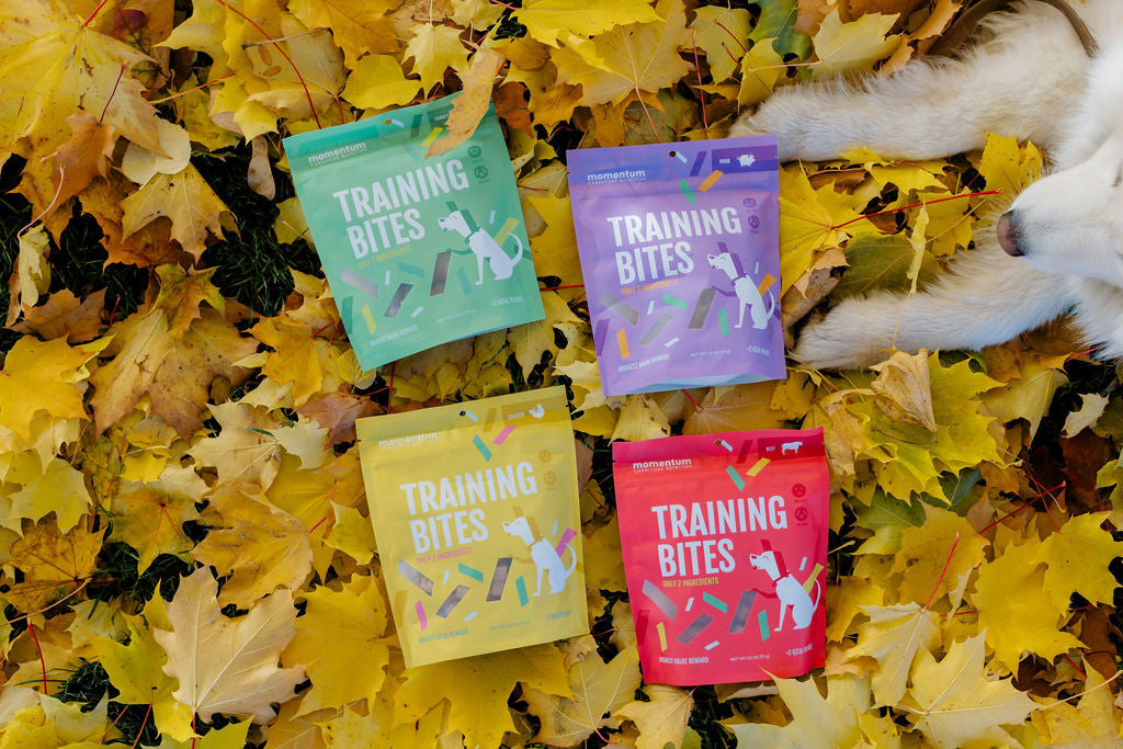 Freeze-Dried Pork Tenderloin Treats for Dogs & Cats | Momentum