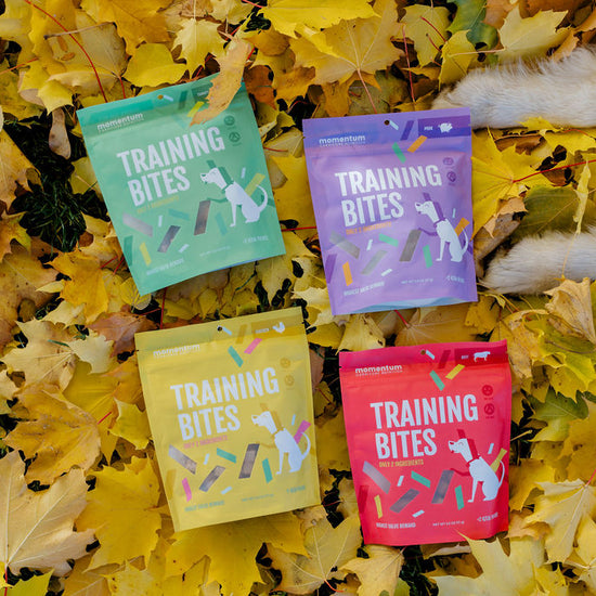 Momentum freeze-dried pork training bites single ingredient high protein treats in leaves with dog