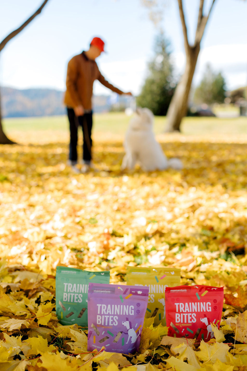 Freeze-Dried Turkey Training Bites for Dogs & Cats | Momentum