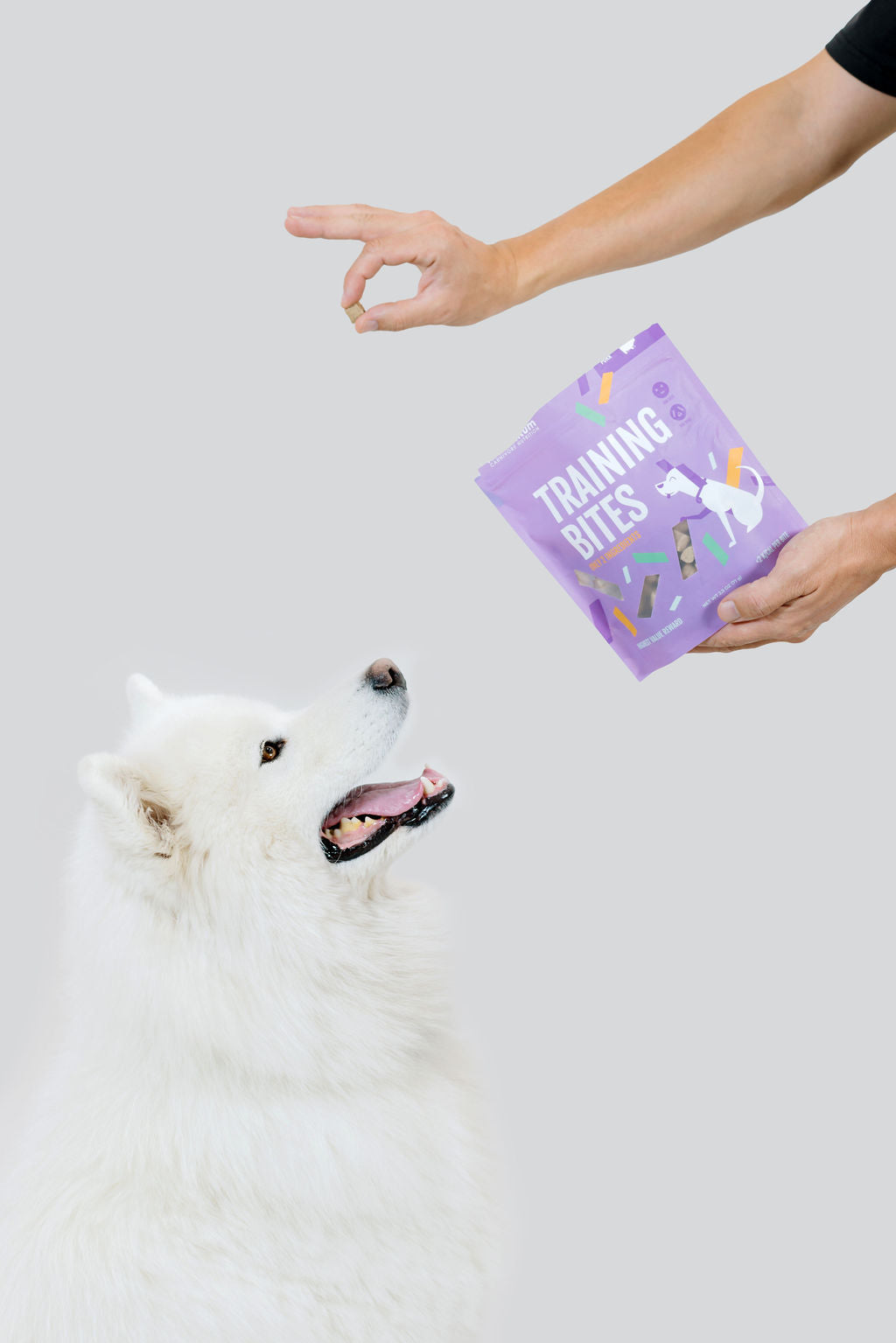 Momentum freeze-dried pork training bites single ingredient high protein treats being fed to dog