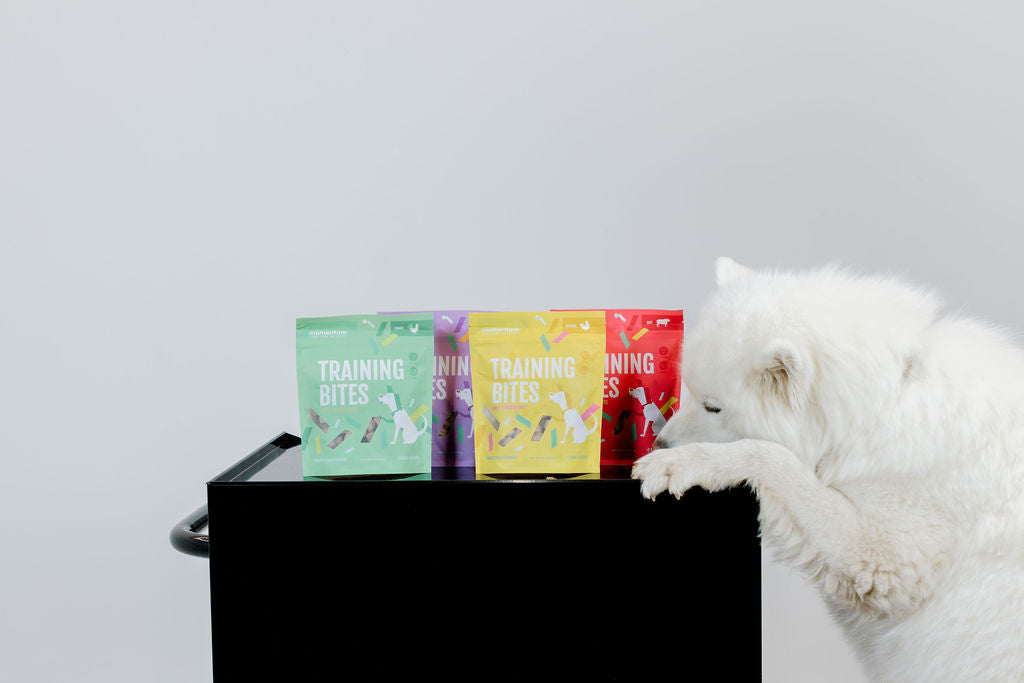 Freeze-Dried Chicken Training Bites for Dogs & Cats | Momentum