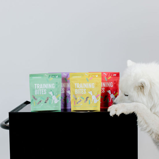 Dog enjoying Momentum freeze-dried chicken training bites single ingredient high protein treat