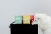 Dog enjoying Momentum freeze-dried chicken training bites single ingredient high protein treat