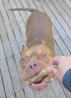 Light Chewer Bundle